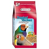 Versele-Laga Alimento Pájaros Exóticos - 4 Kg